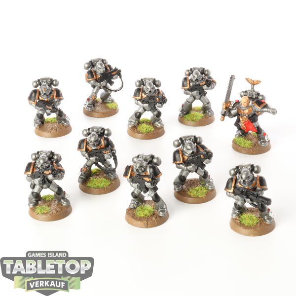 Space Marines - 10x Assault Marines (Classic) - bemalt