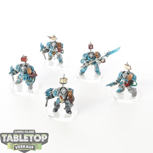 Grey Knights - 5 x Grey Knights Terminator Squad - bemalt