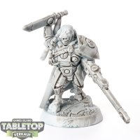 Tau Empire - Cadre Fireblade - teilweise bemalt