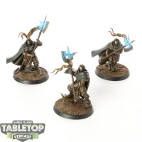 Stormcast Eternals - 3 Praetors - bemalt