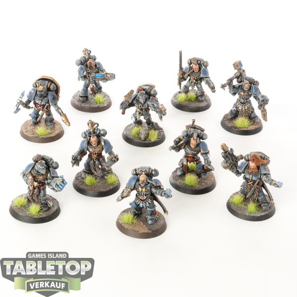 Space Wolves - 10 Grey Hunters - gut bemalt