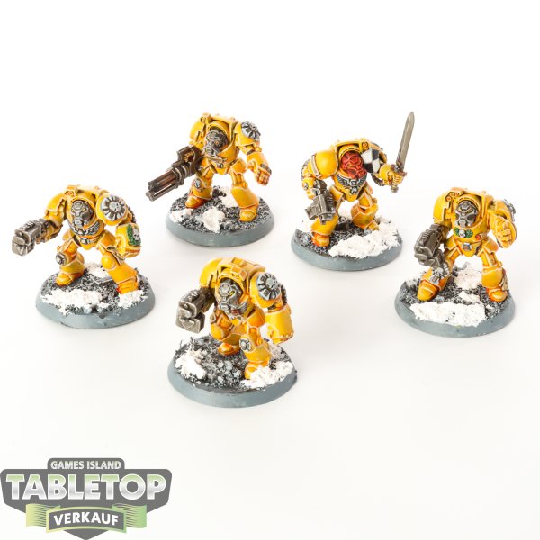 Space Marines - 5 x Terminator Squad klasssich - bemalt