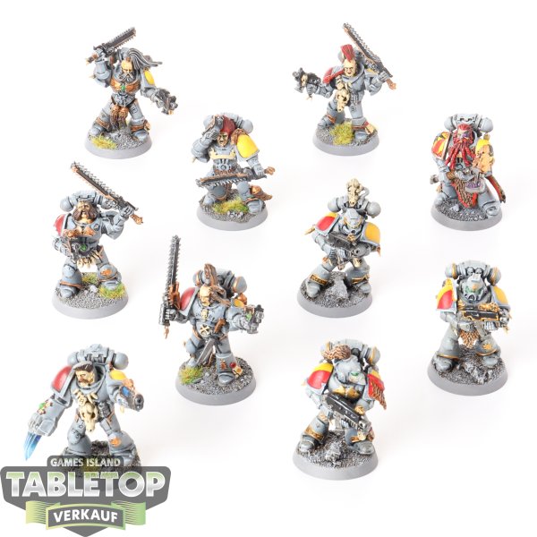 Space Wolves - 10 x Grey Hunters - bemalt