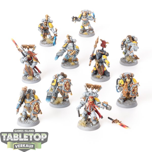 Space Wolves - 10 x Grey Hunters - bemalt