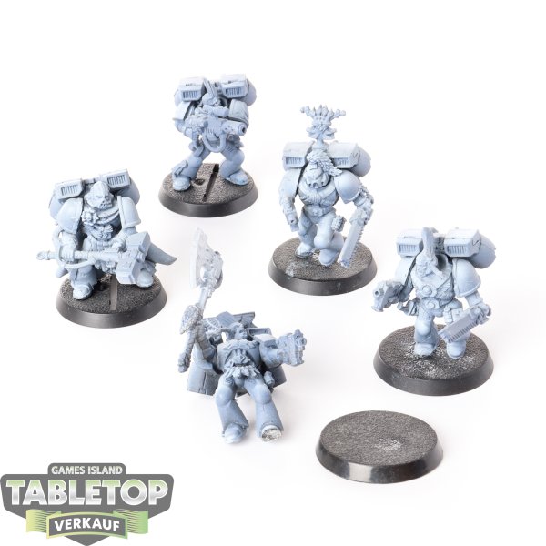 Space Wolves - 5 x Vanguard Veteran Squad - grundiert