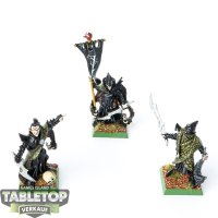 Dark Elves - 3 Corsair Command - bemalt