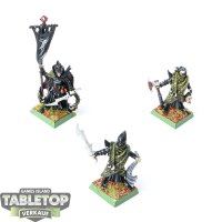 Dark Elves - 3 Corsair Command - bemalt