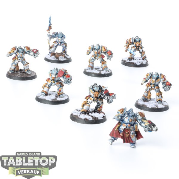 Grey Knights - 8x Paladins (Classic) - bemalt