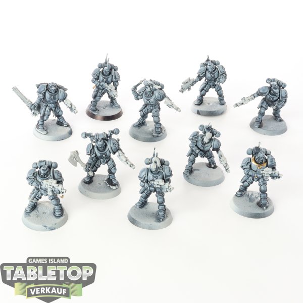 Space Wolves - 10 x Primaris Reivers - teilweise bemalt