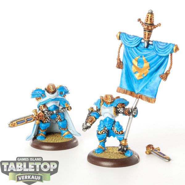 Cygnar - Sword Knight Officer & Standard Bearer - bemalt