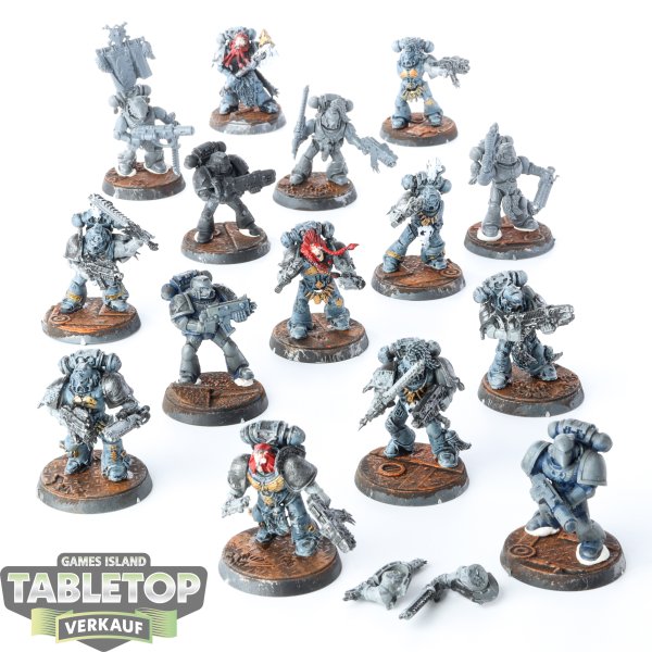 Space Wolves - 15 Grey Hunters - teilweise bemalt