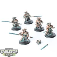 Stormcast Eternals - 5 x Protectors - teilweise bemalt