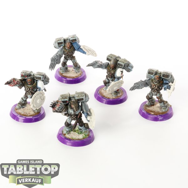 Space Wolves - 5 x Vanguard Veteran Squad - teilweise bemalt