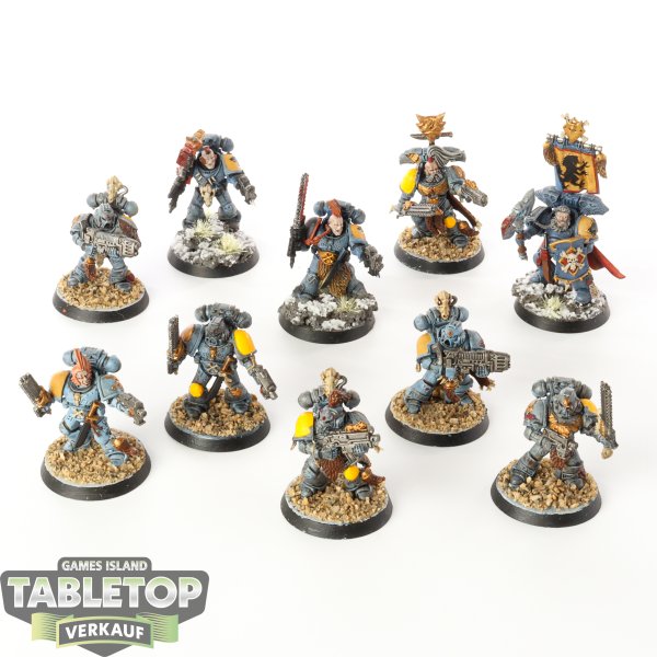 Space Wolves - 10 x Grey Hunters - bemalt