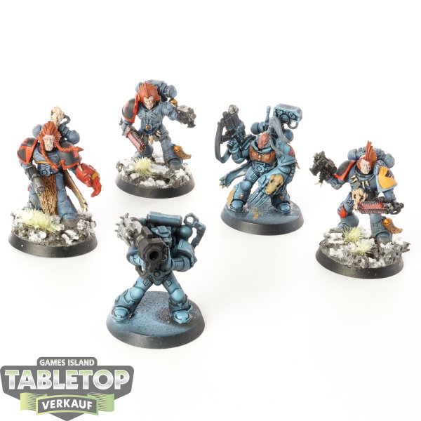 Space Wolves - 5 x Grey Hunters - teilweise bemalt