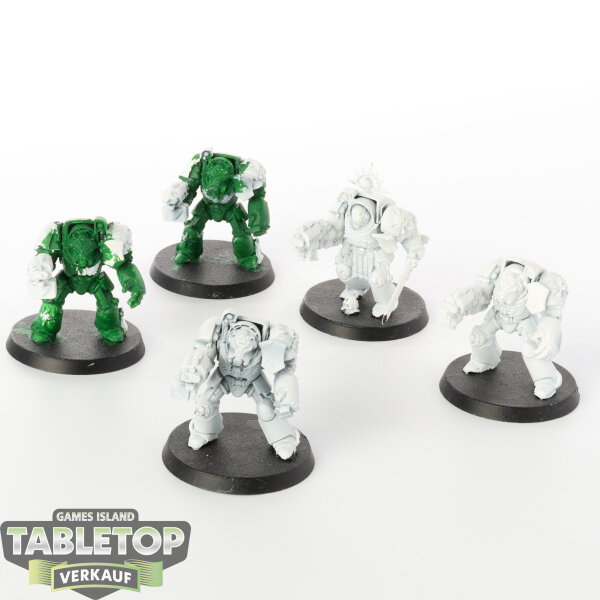 Space Marines - 5 Terminator Squad klassisch - teilweise bemalt