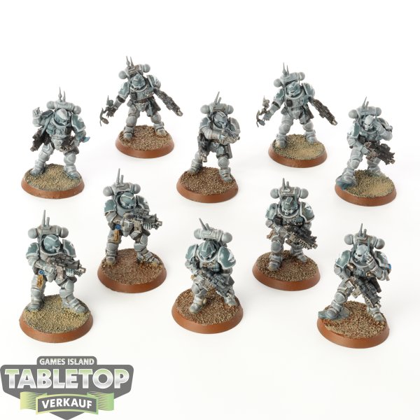 Space Marines - 10 Primaris Infiltrators - bemalt