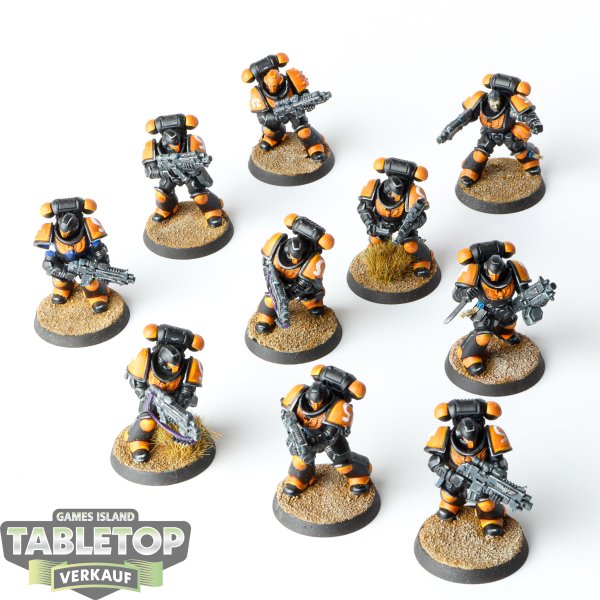 Space Marines - 10 Primaris Intercessors - bemalt