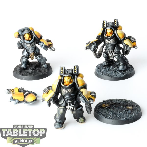 Space Marines - 3 Primaris Aggressors - bemalt