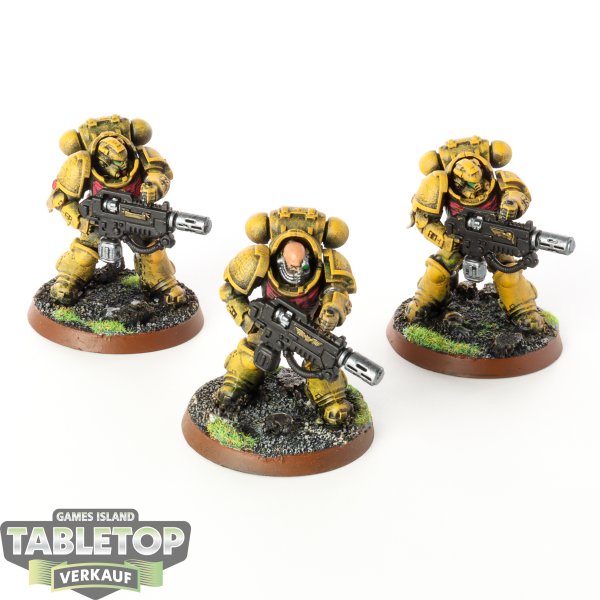 Space Marines - 3 x Primaris Eradicators - bemalt