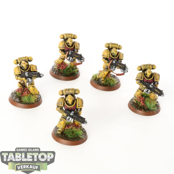 Imperial Fists - 5 x Primaris Intercessors - teilweise bemalt