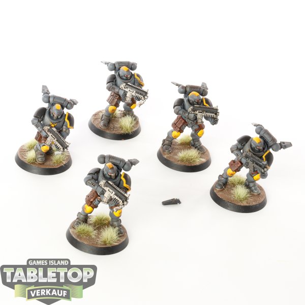 Space Marines - 5 x Primaris Reivers - bemalt