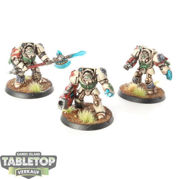Dark Angels - 3 x Deathwing Terminator Squad klassisch - gut bemalt