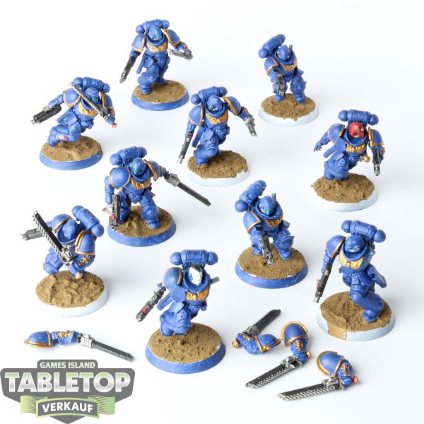 Space Marines - 10 x Assault Intercessors - bemalt