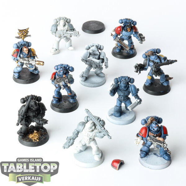 Space Wolves - 10 x Grey Hunters - teilweise bemalt