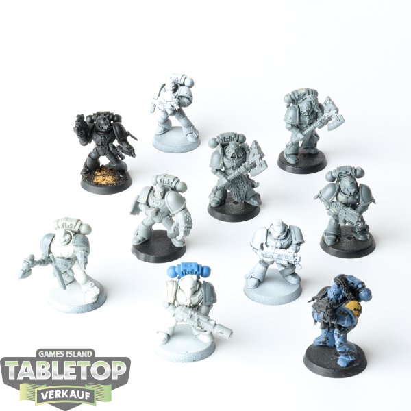 Space Wolves - 10 x Grey Hunters - teilweise bemalt