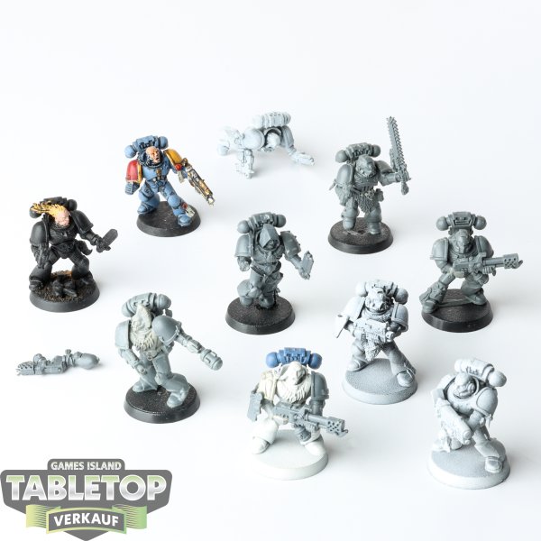 Space Wolves - 10 x Grey Hunters - teilweise bemalt