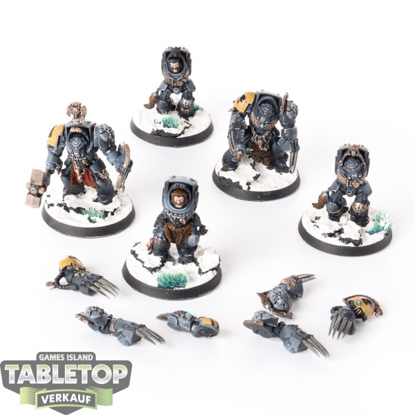 Space Wolves - 5x Wolf Guard Terminators - bemalt