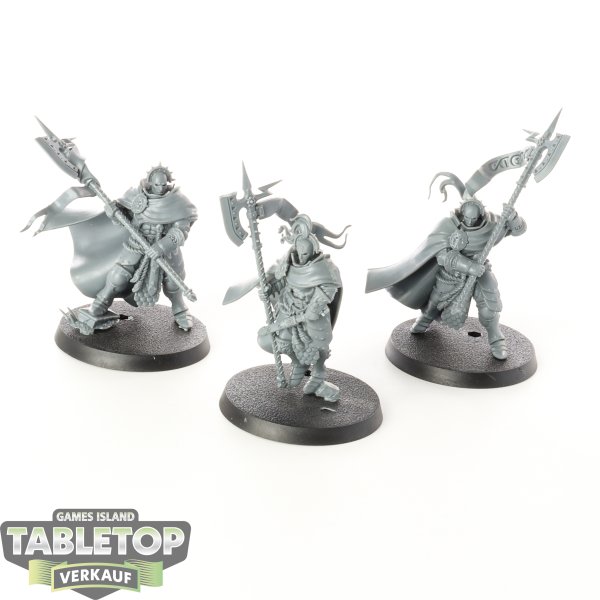 Stormcast Eternals - 3x Praetors - unbemalt