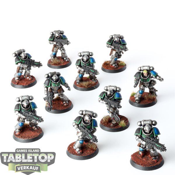 Space Marines - 10 x Primaris Intercessors - bemalt