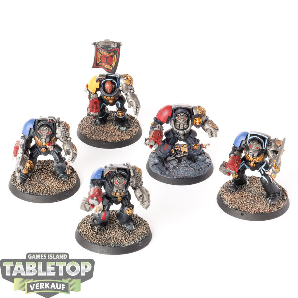 Space Marines - 5x Terminator Squad - bemalt
