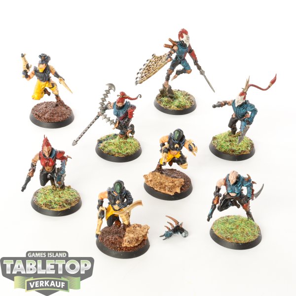 Drukhari - 8 x Wyches - teilweise bemalt