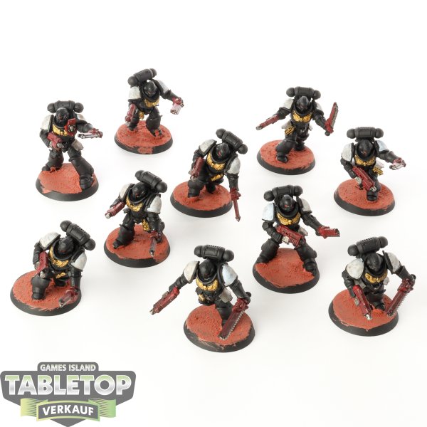 Space Marines - 10 Assault Intercessors - bemalt