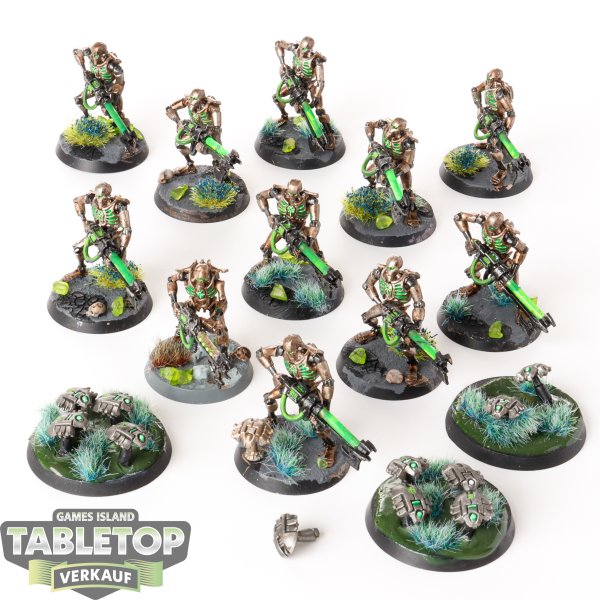 Necrons - 11 Necron Warriors & 3 Scarabs klassisch - bemalt