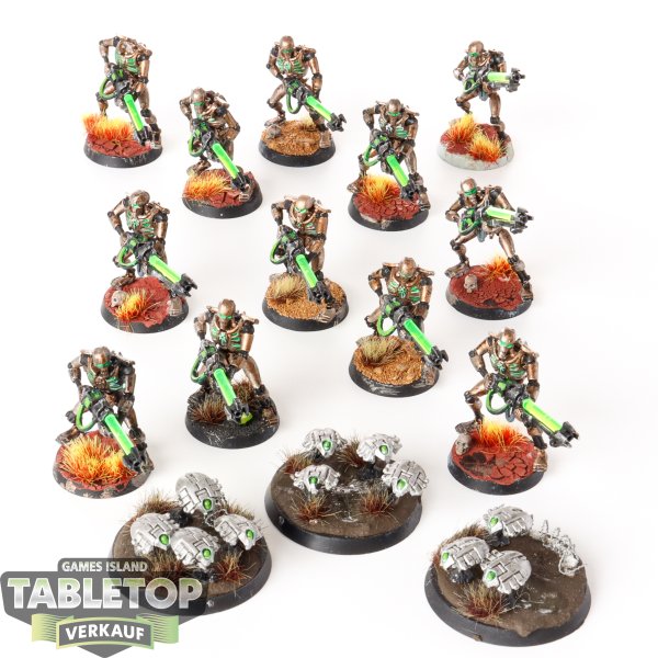 Necrons - 12 Necron Warriors & 3 Scarabs klassisch - bemalt