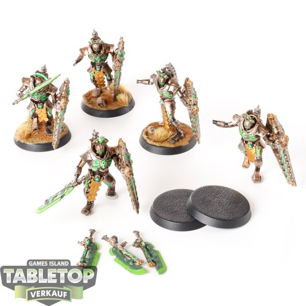 Necrons - 5 Lychguard - bemalt