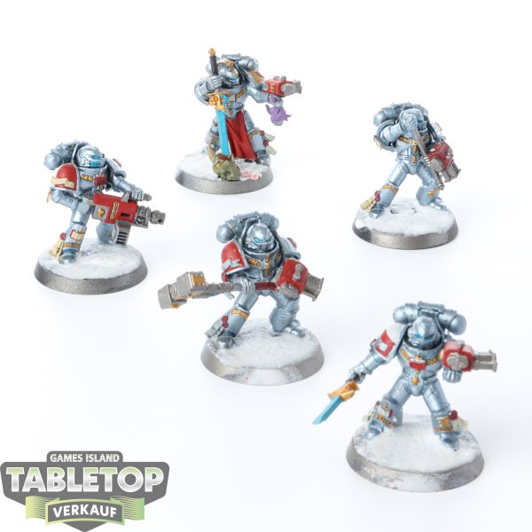 Grey Knights - 5x Grey Knights Purifier Squad - bemalt