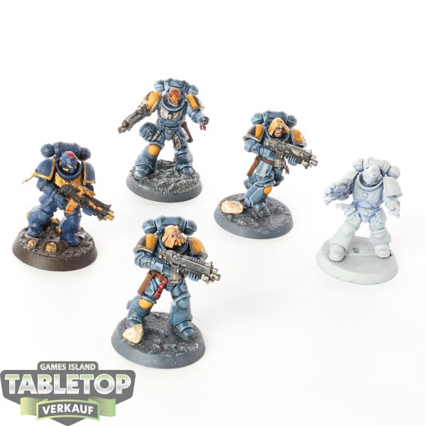 Space Wolves - 5 x Primaris Intercessors - bemalt