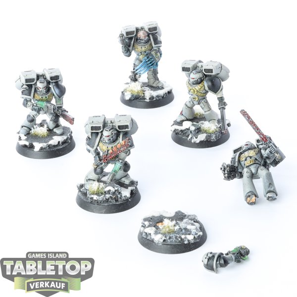 Space Marines - 5x Assault Squad - bemalt