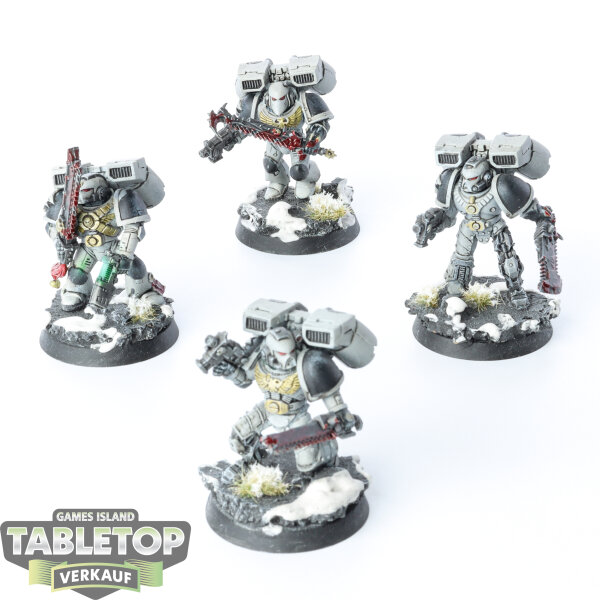 Space Marines - 4x Assault Squad - bemalt
