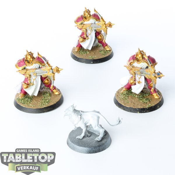 Stormcast Eternals - 3x Easy to Build Castigators & Gryph-hound - teilweise bemalt