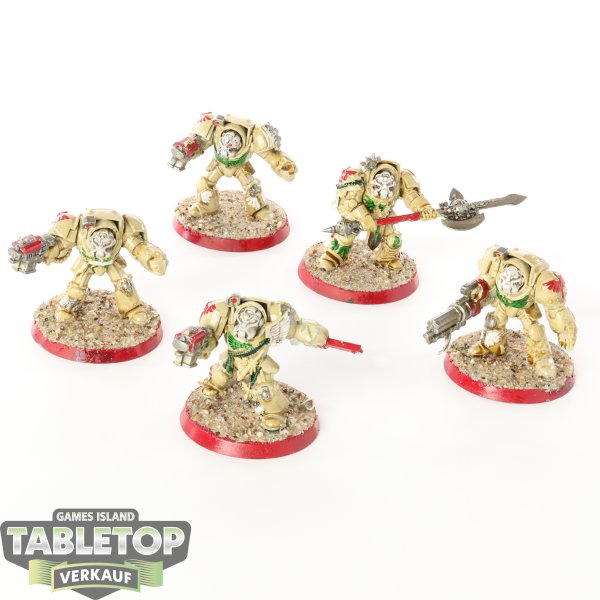 Dark Angels - 5x Deathwing Terminators - klassisch - bemalt