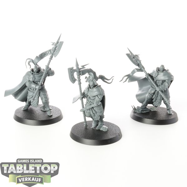 Stormcast Eternals - 3x Praetors - unbemalt