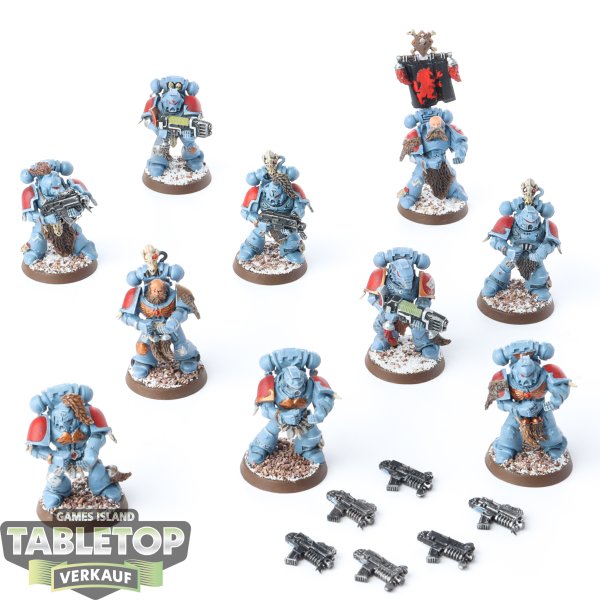 Space Wolves - 10 Grey Hunters - bemalt