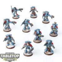 Space Wolves - 10 Grey Hunters - bemalt