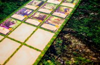 Playmats.eu - Everdell - Players Board - Unofficial Board Game Mat - Vertical, Base Game